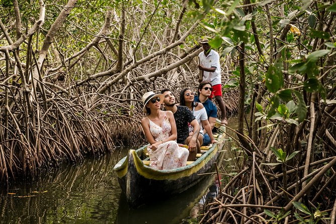 mangroves at La Boquilla
