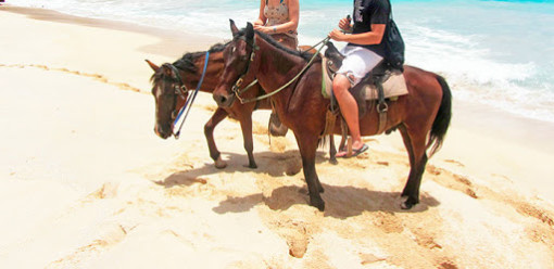 Horseback Riding Near Cartagena