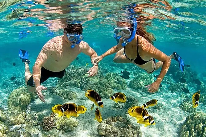Diving Spots Cartagena