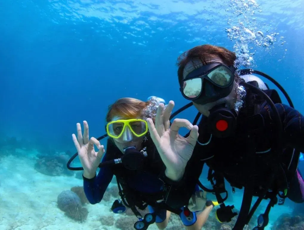 Snorkeling Cartagena