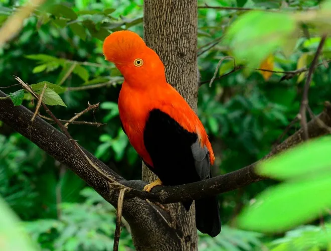 baru bird sanctuary