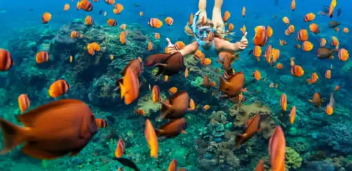 Best Snorkel and Diving Spots Near Cartagena